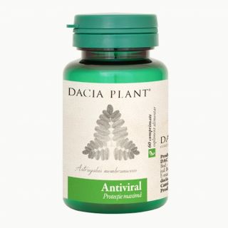 Antiviral - Echinacea si astragalus Dacia Plant