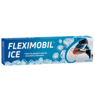 Fleximobil Ice Gel 45g Fiterman