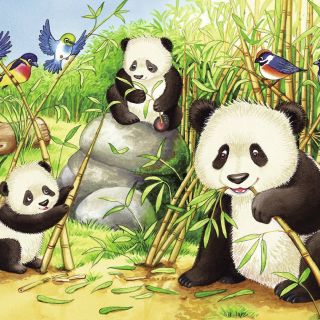 Puzzle Koala Si Panda, 2X24 Piese