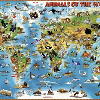 Puzzle Harta Animalelor, 300 Piese