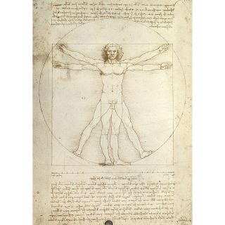 Puzzle Leonardo Da Vinci_ Proportiile Corpului Uman, 1000 Piese