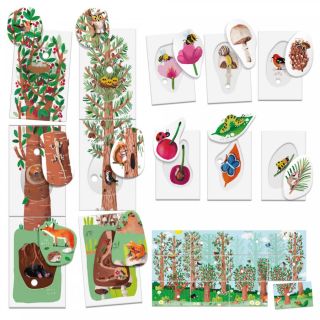 Headu Montessori - Cartonase Sa Invatam Natura