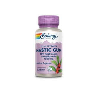 Mastic Gum 45 capsule Secom 
