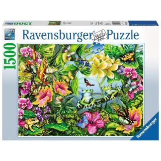 Puzzle Gaseste Broscutele, 1500 Piese RVSPA16363